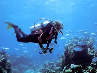 triangle-diving-scuba-diving-in-bm
