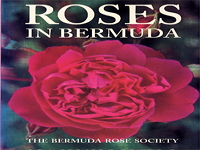 bermuda-rose-society-gardens-and-arboretums-bm