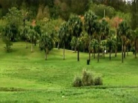 montpolier-arboretum-gardens-and-arboretums-bm