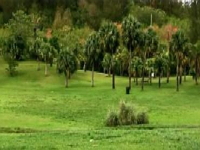 montpolier-arboretum-gardens-and-arboretums-bm