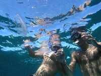 snorkel-bermuda-snorkeling-bermuda