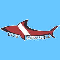 dive-bermuda-bermuda-scuba-diving-bm